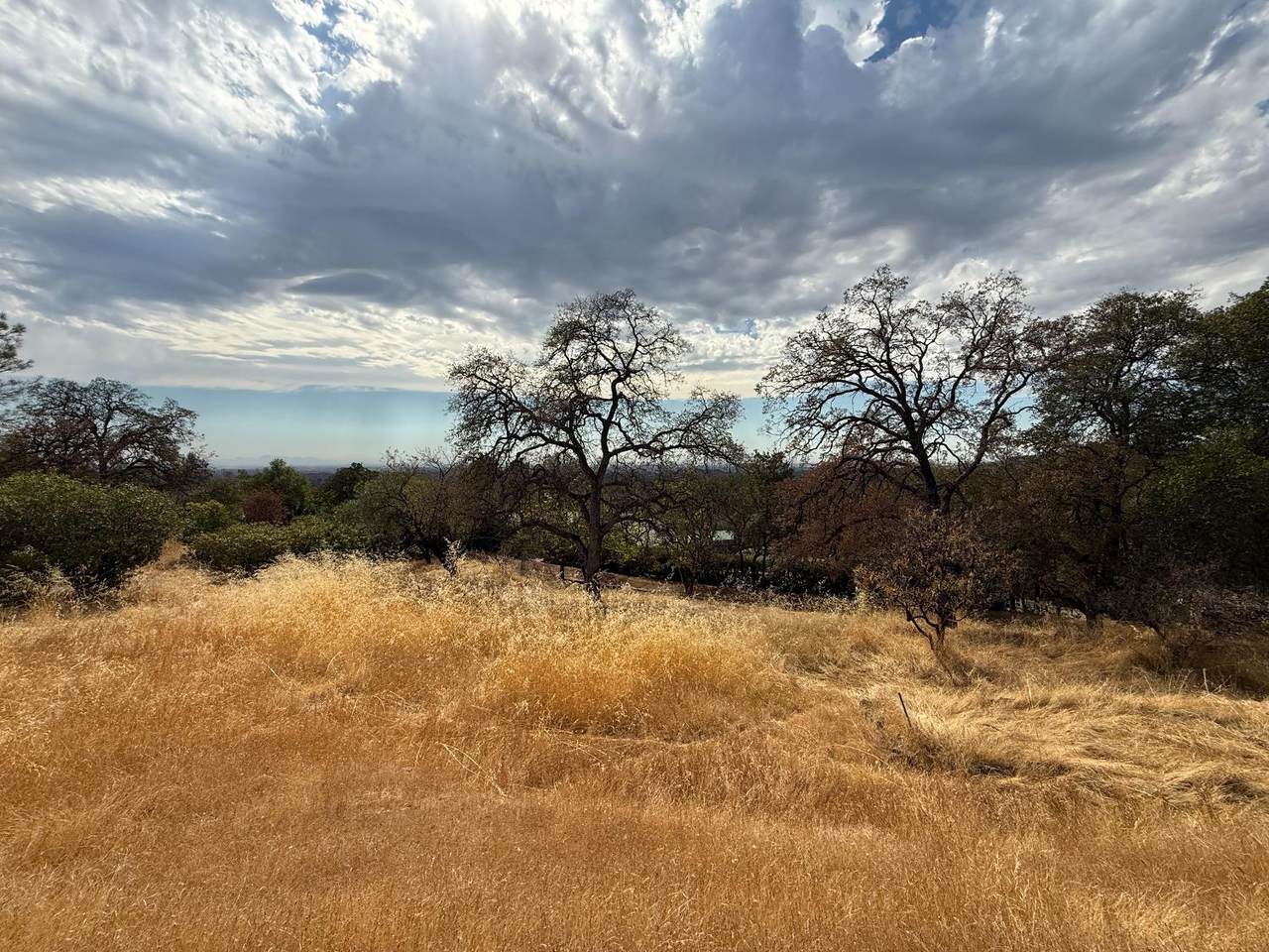 https://bt-photos.global.ssl.fastly.net/sacramento/orig_boomver_1_561224931-2.jpg