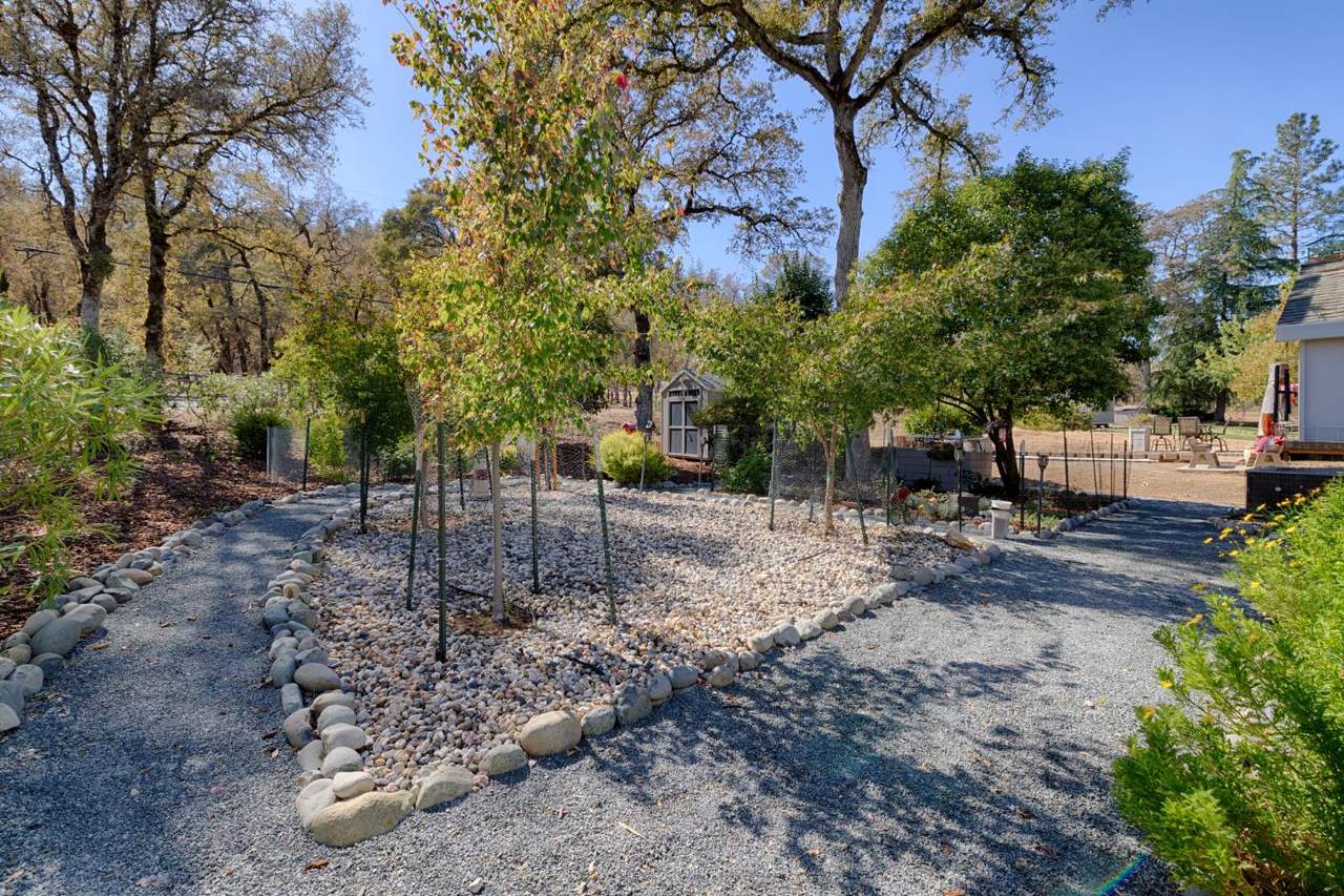 https://bt-photos.global.ssl.fastly.net/sacramento/1280_boomver_1_561228708-2.jpg