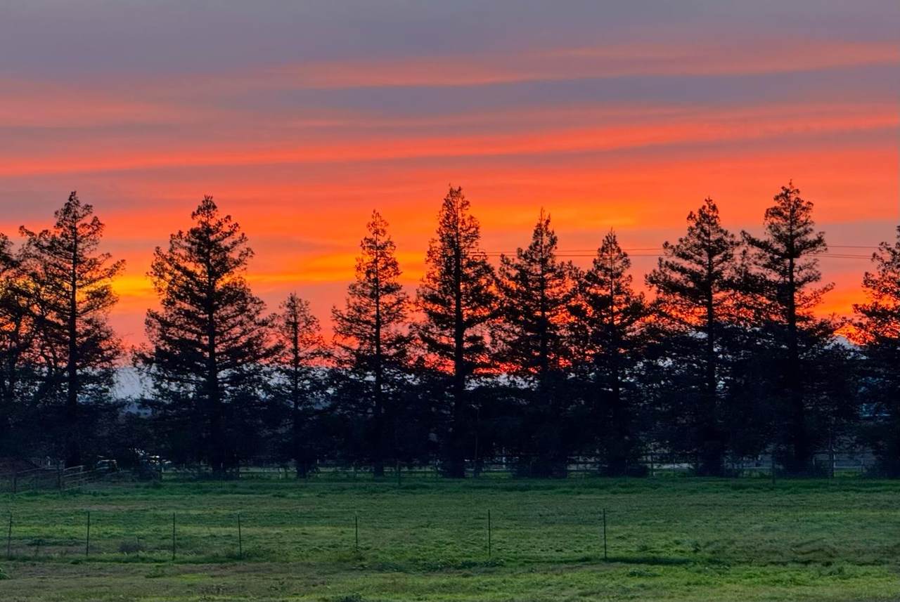 https://bt-photos.global.ssl.fastly.net/sacramento/1280_boomver_1_561229598-2.jpg