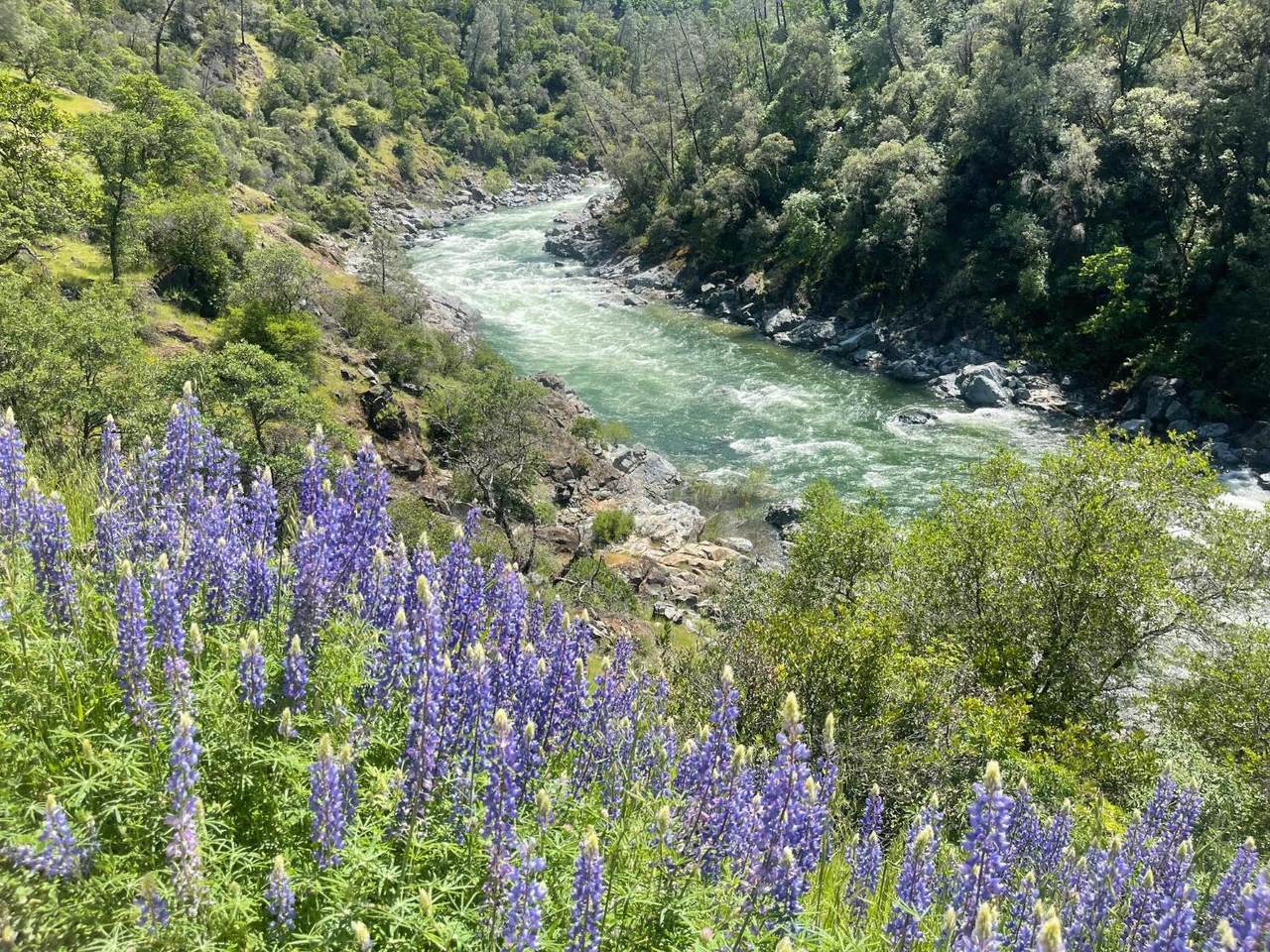 https://bt-photos.global.ssl.fastly.net/sacramento/1280_boomver_1_561229725-2.jpg