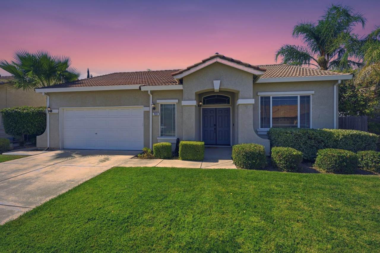 733 Ann Gabriel Lane - Photo 1