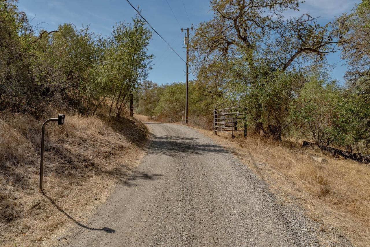 https://bt-photos.global.ssl.fastly.net/sacramento/1280_boomver_1_561230747-2.jpg