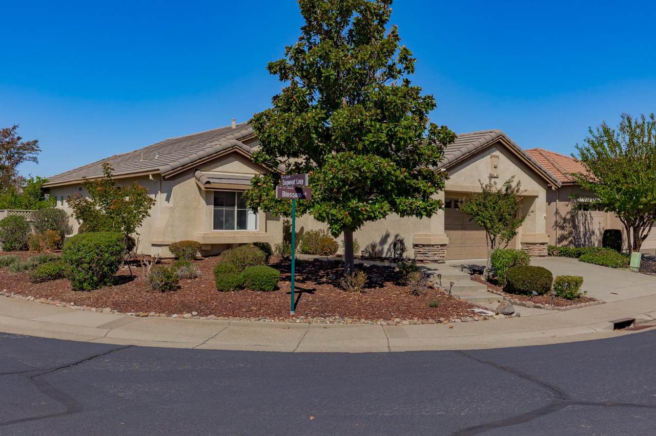 620 Blossom Lane - Photo 1