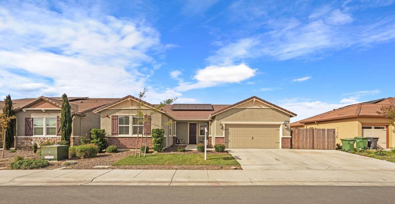 691 Lippi Street - Photo 1