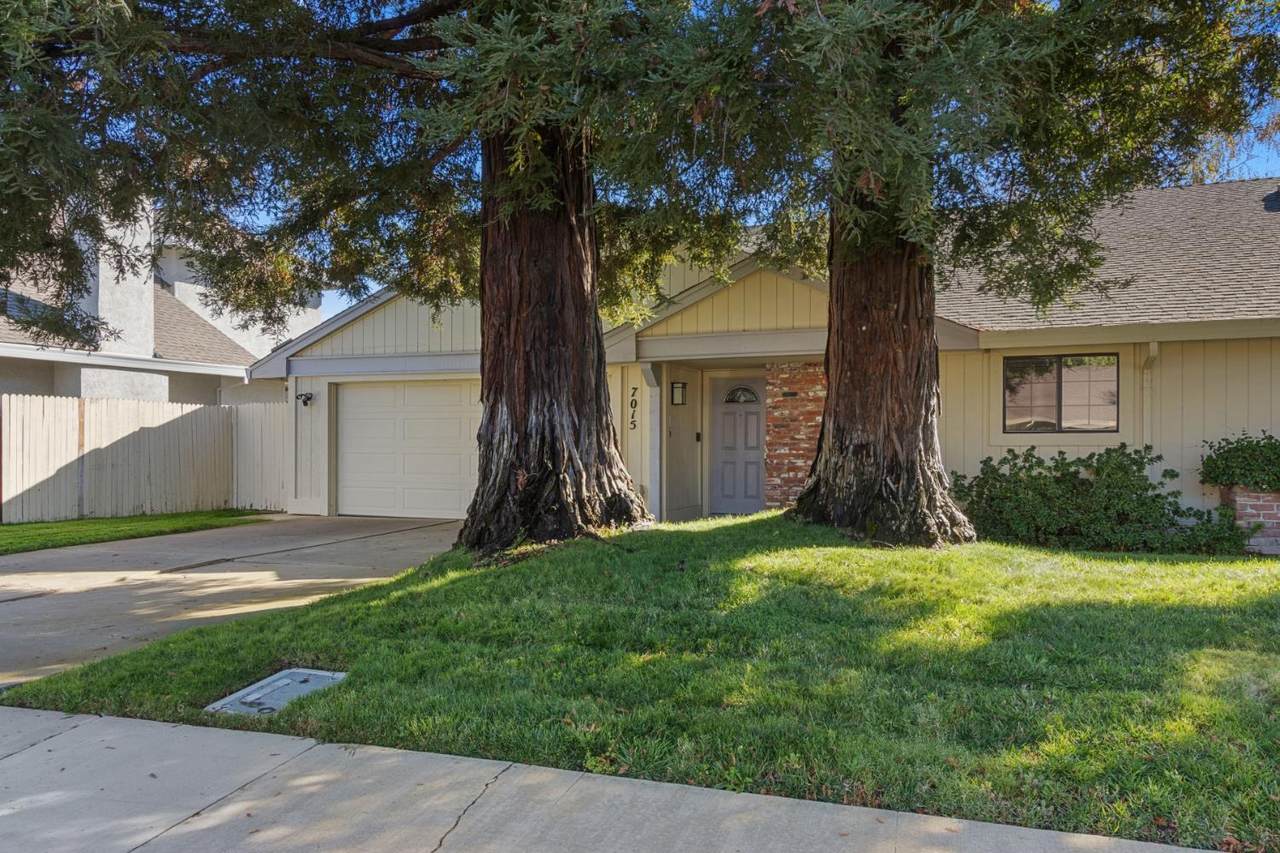 7015 Gloria Drive - Photo 1