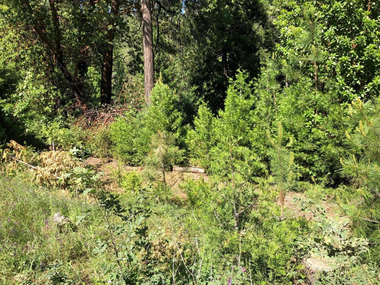 26875 Nobb Ct - Photo 1