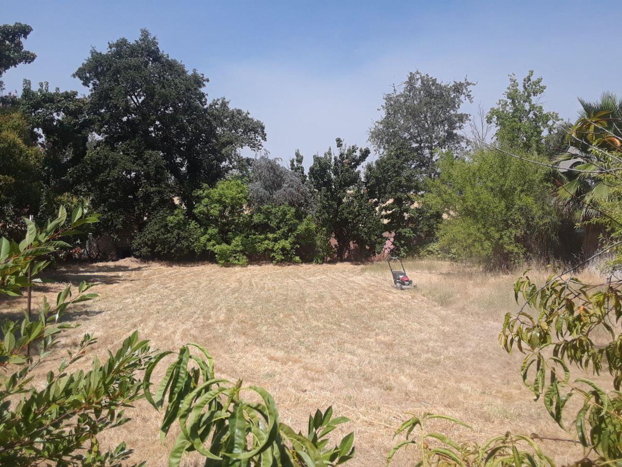 6221 Pecan Avenue - Photo 1