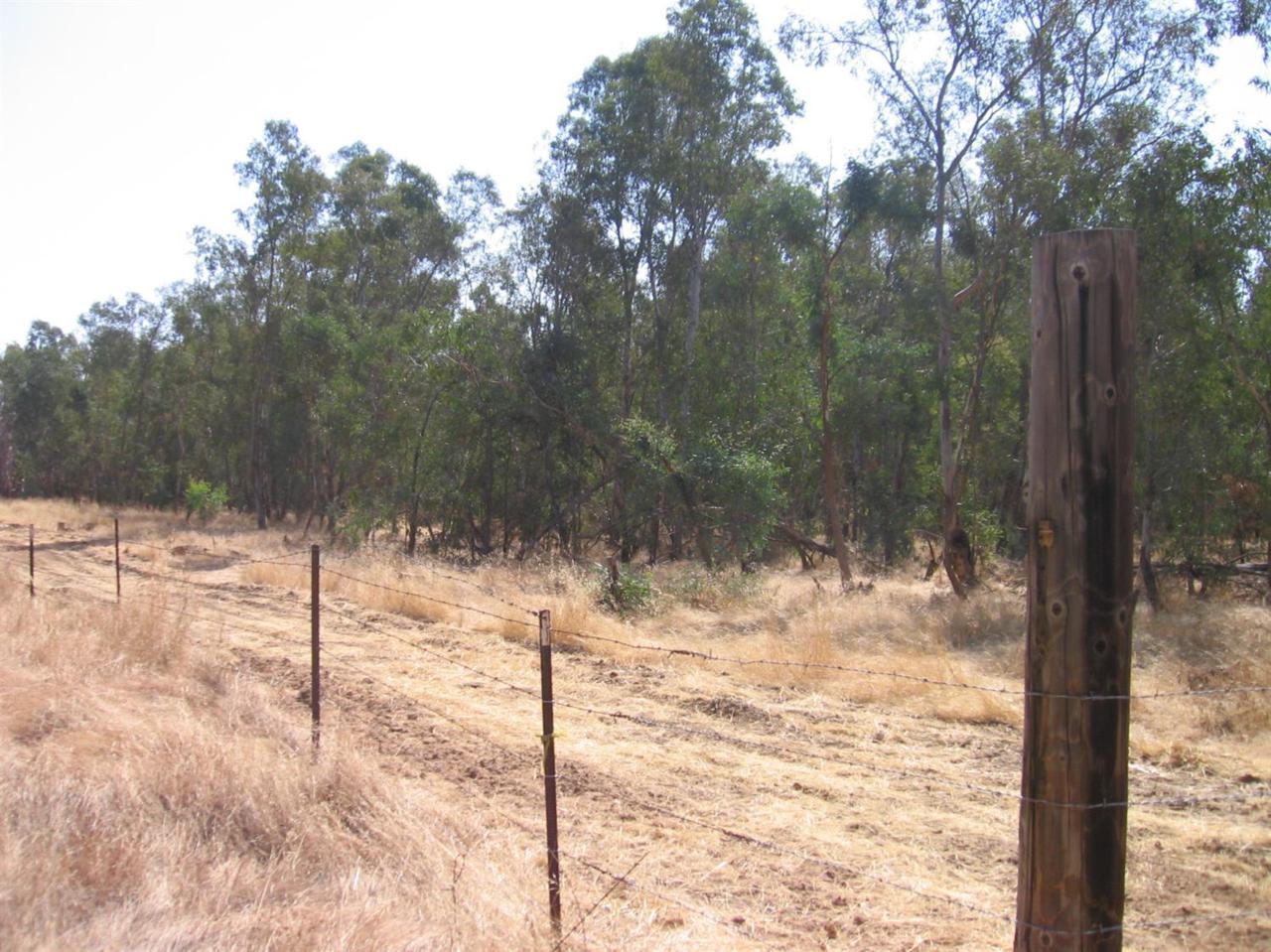 1 Borden Road - Photo 1