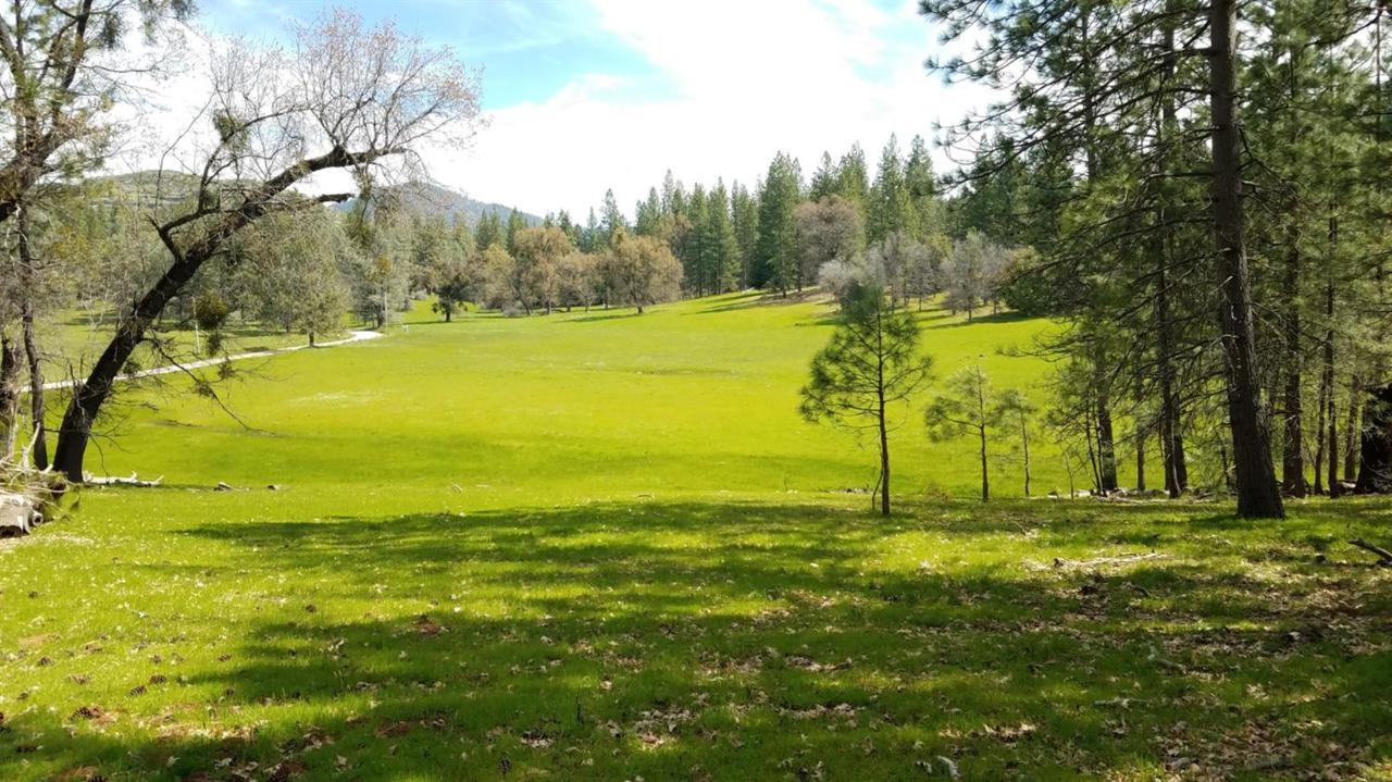 8954 Swiss Ranch Road - Photo 1