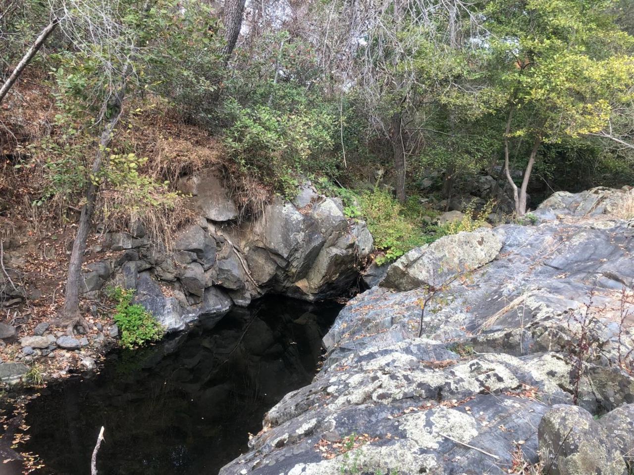 11-acres Deer Valley/Camber Drive - Photo 1