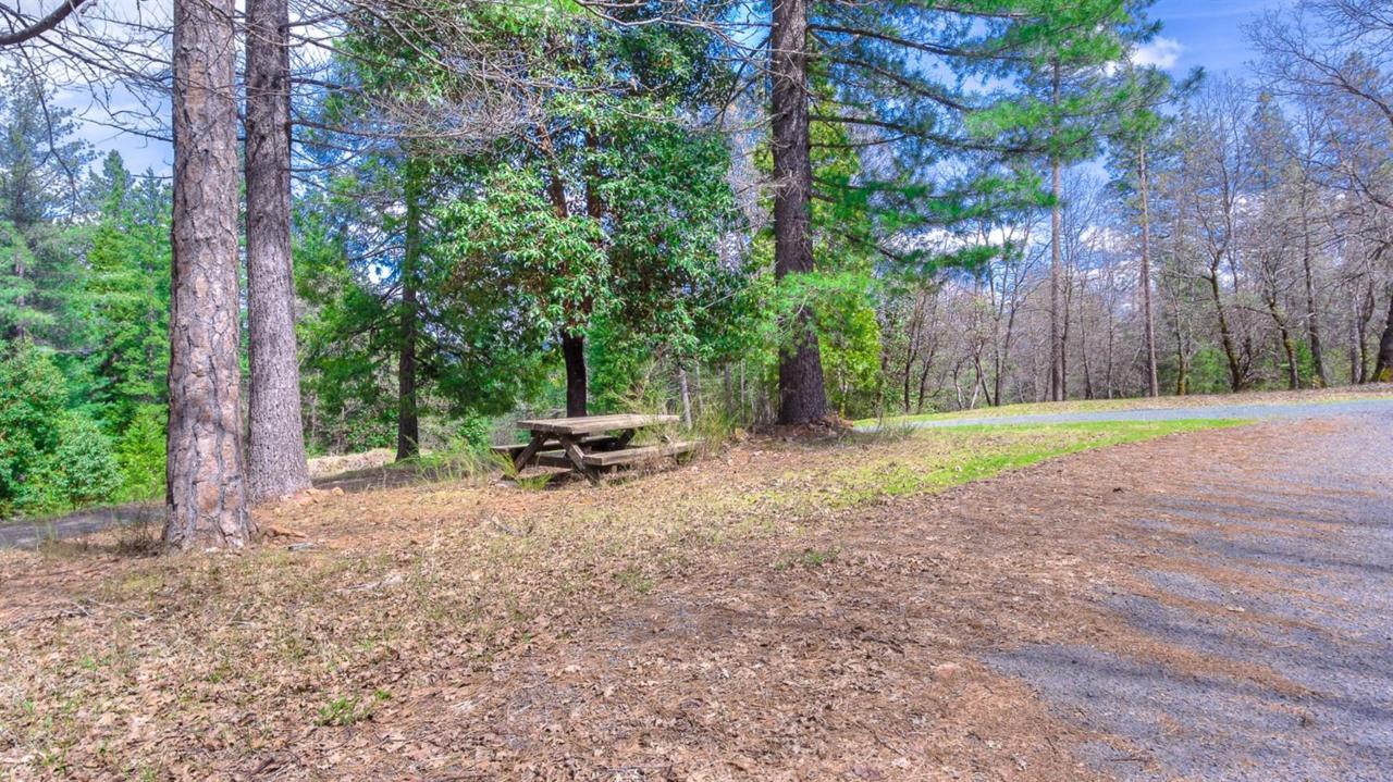 3441 Chipmunk Trail - Photo 1
