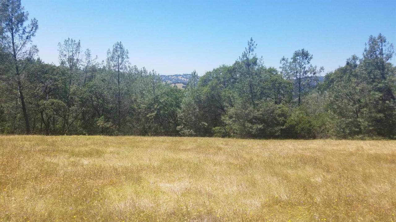 20375 Deer Meadow - Photo 1