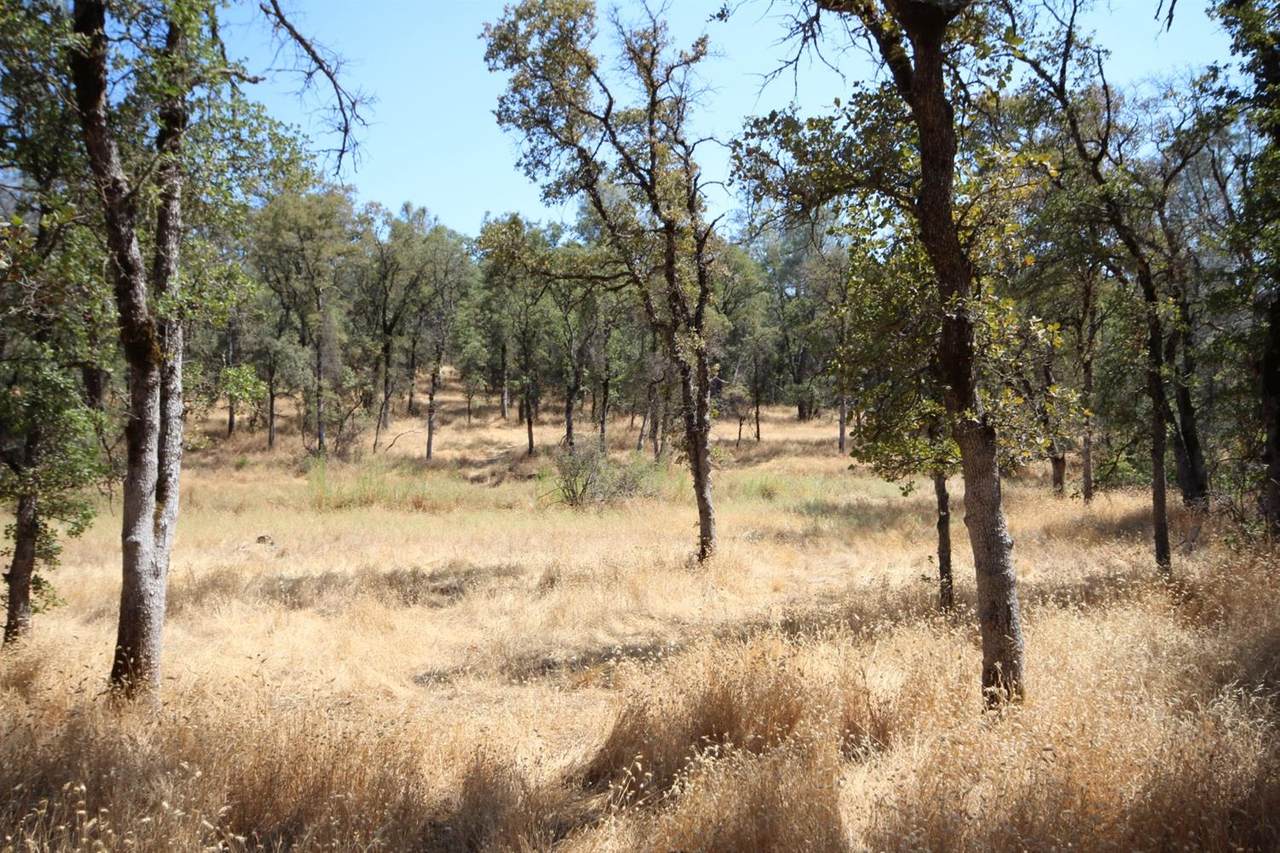 0-Lot 0 Bell Road - Photo 1