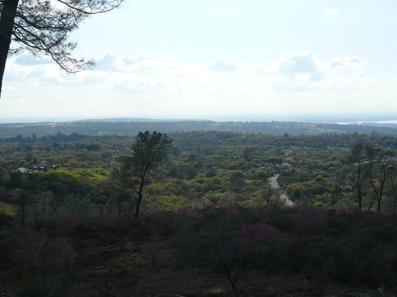 4446 Fremonts Loop - Photo 1