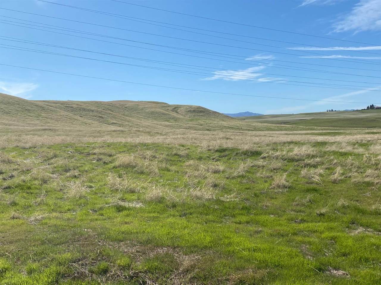 22999 Ortigilita Road - Photo 1