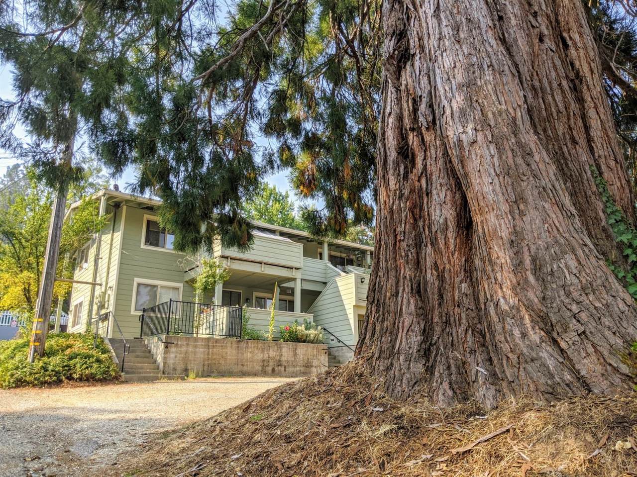 155 Lucas Lane - Photo 1