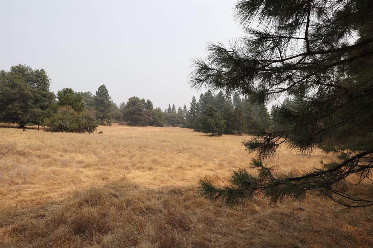 17380 Charleston Road - Photo 1