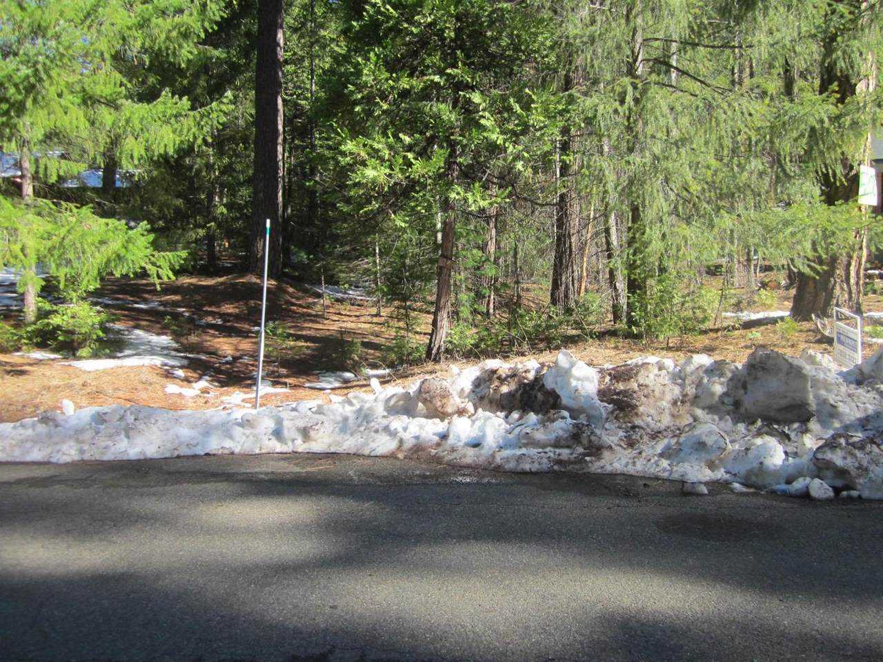 5202 Wooded Glen Drive - Photo 1