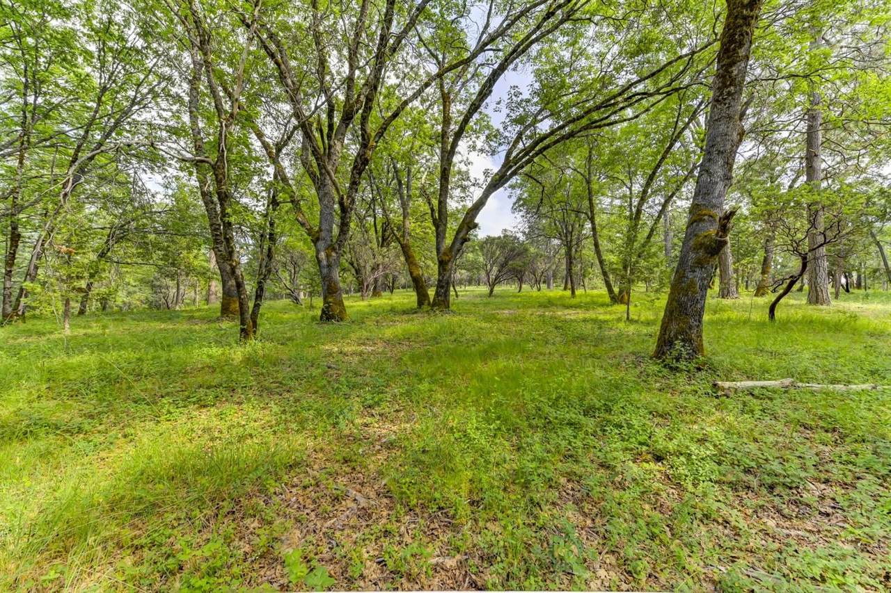 13167 Ridge Road - Photo 1