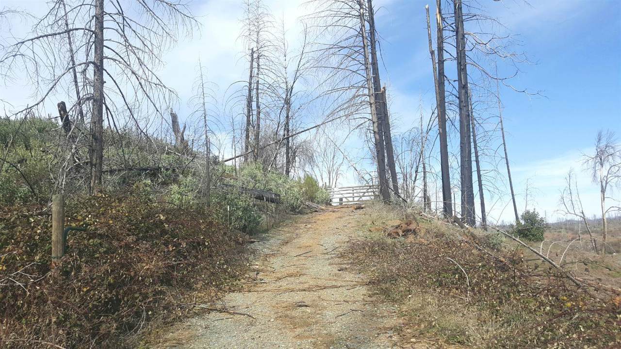 19225 Potteroff Road - Photo 1