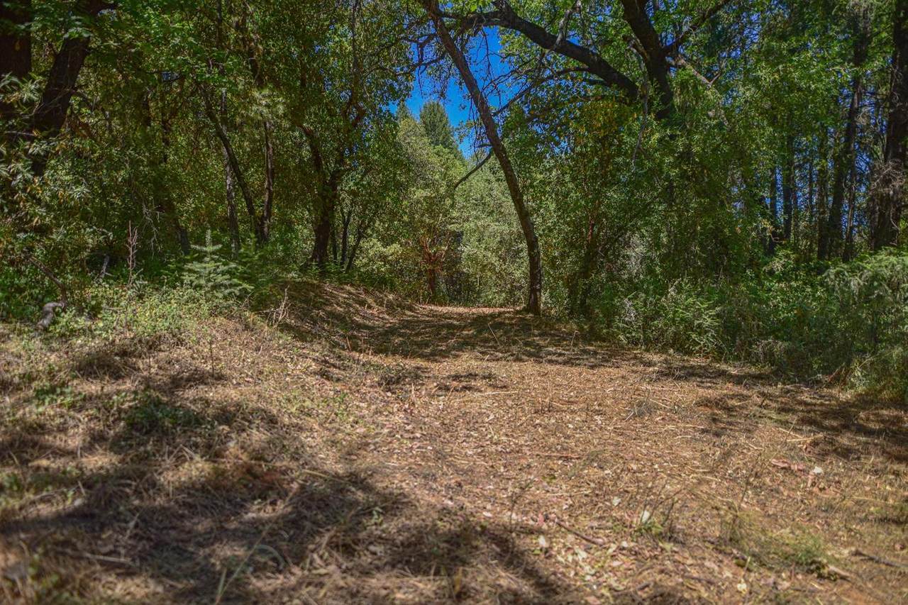 40 Sliger Mine - Photo 1