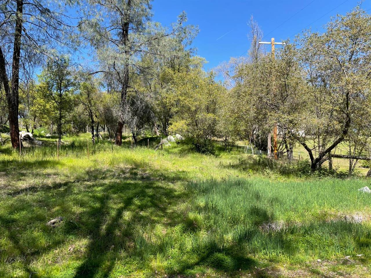 0 Millertown Road - Photo 1