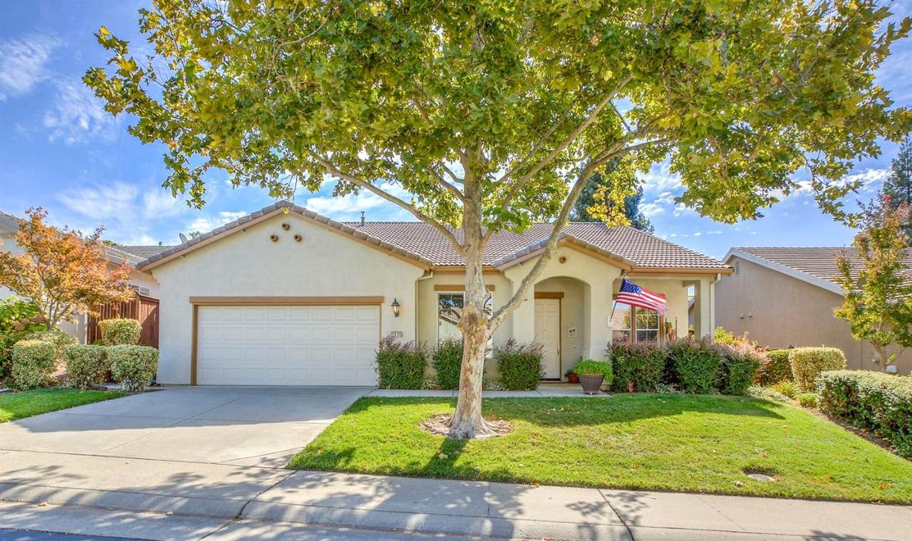 2831 Springfield Drive - Photo 1