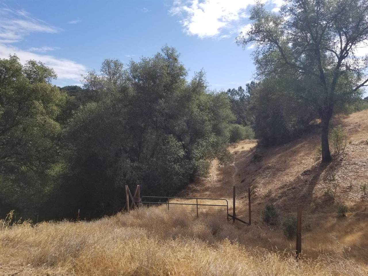 1961 Old Stage Road - Photo 1