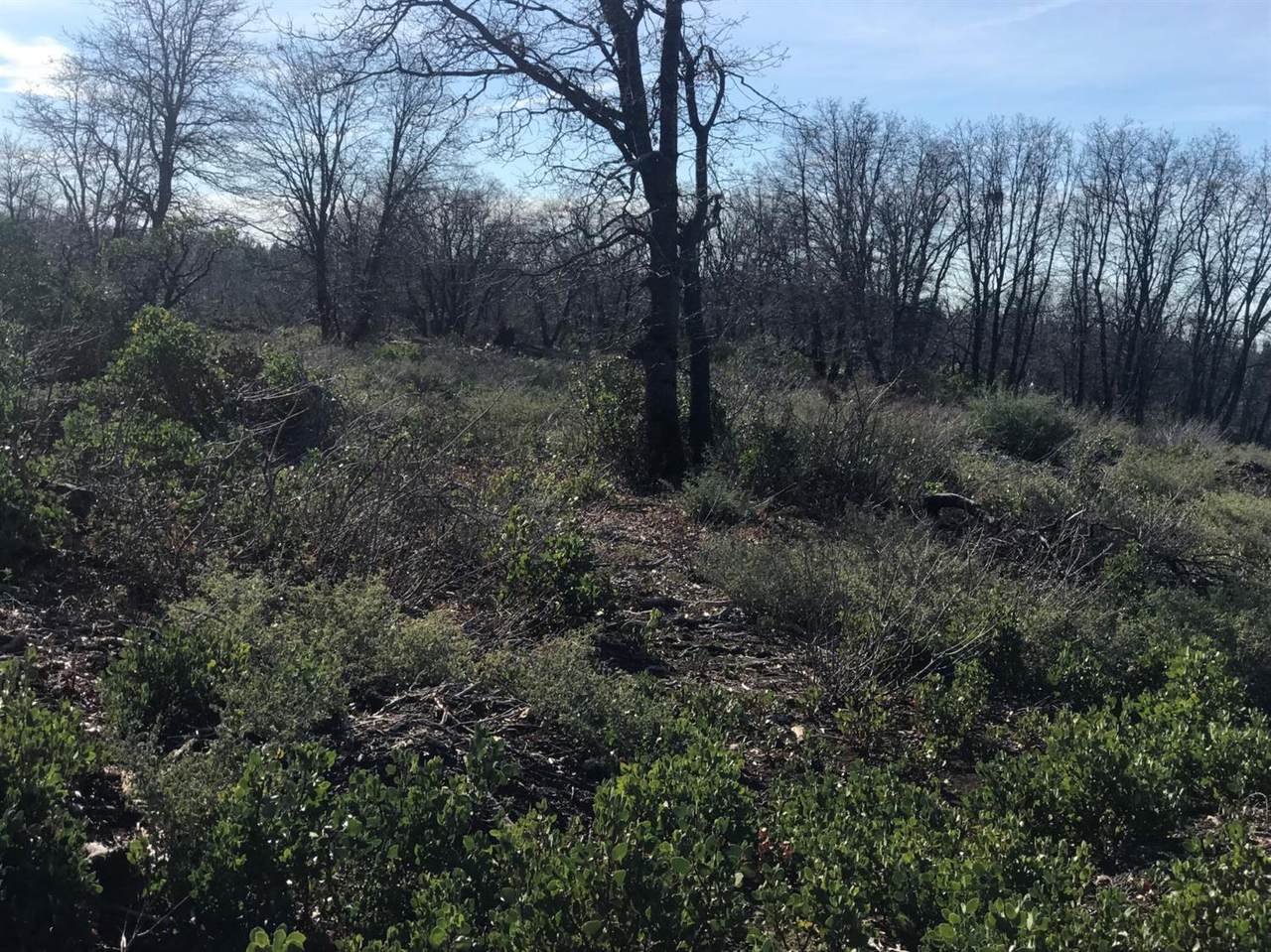 0 Kearsarge Mill Road - Photo 1