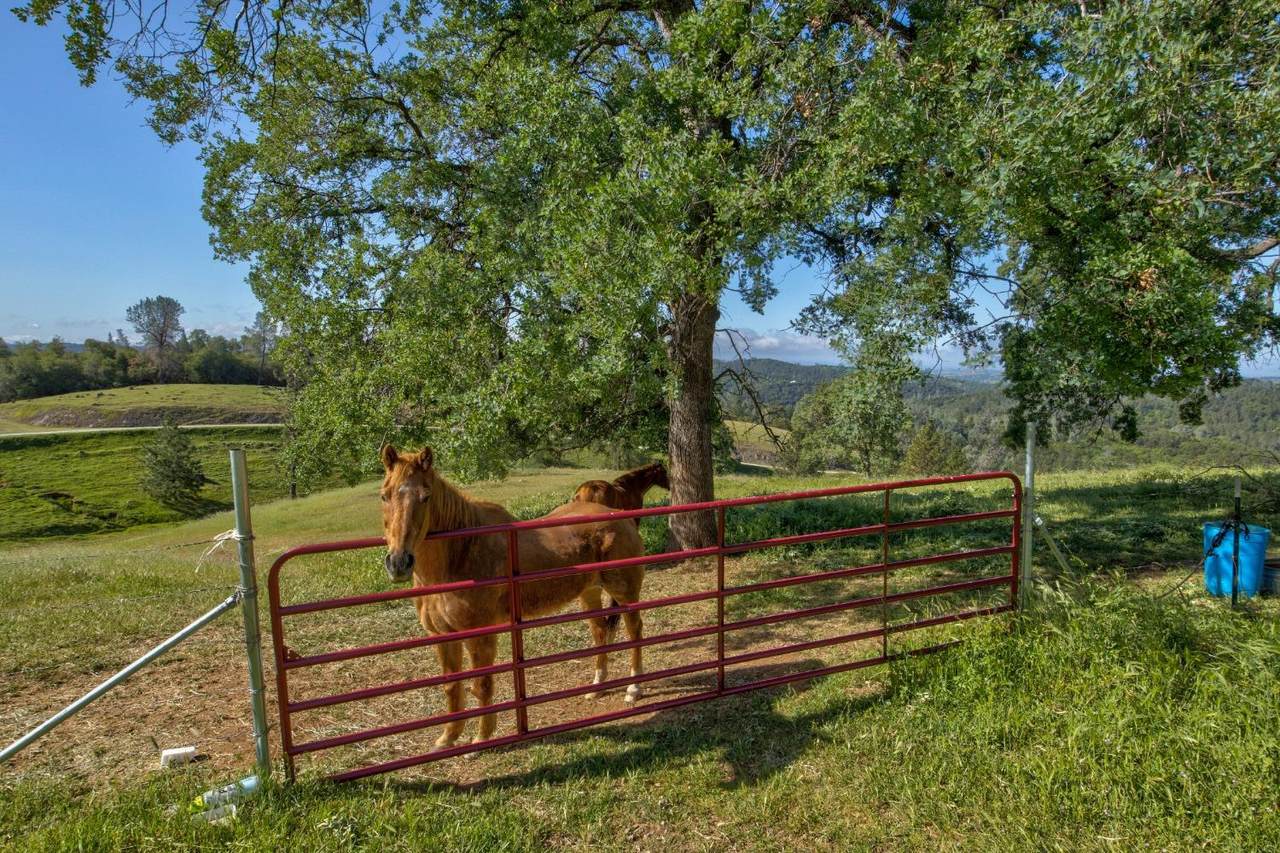 0 Trembath Mtn Rd - Photo 1