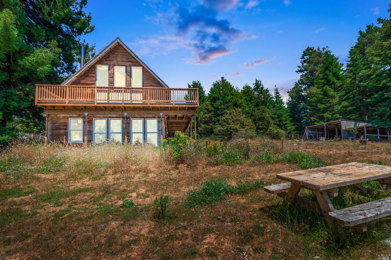 29530 Sherwood Road - Photo 1