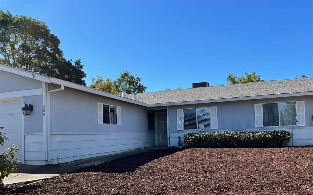 1309 Hickory Street - Photo 1