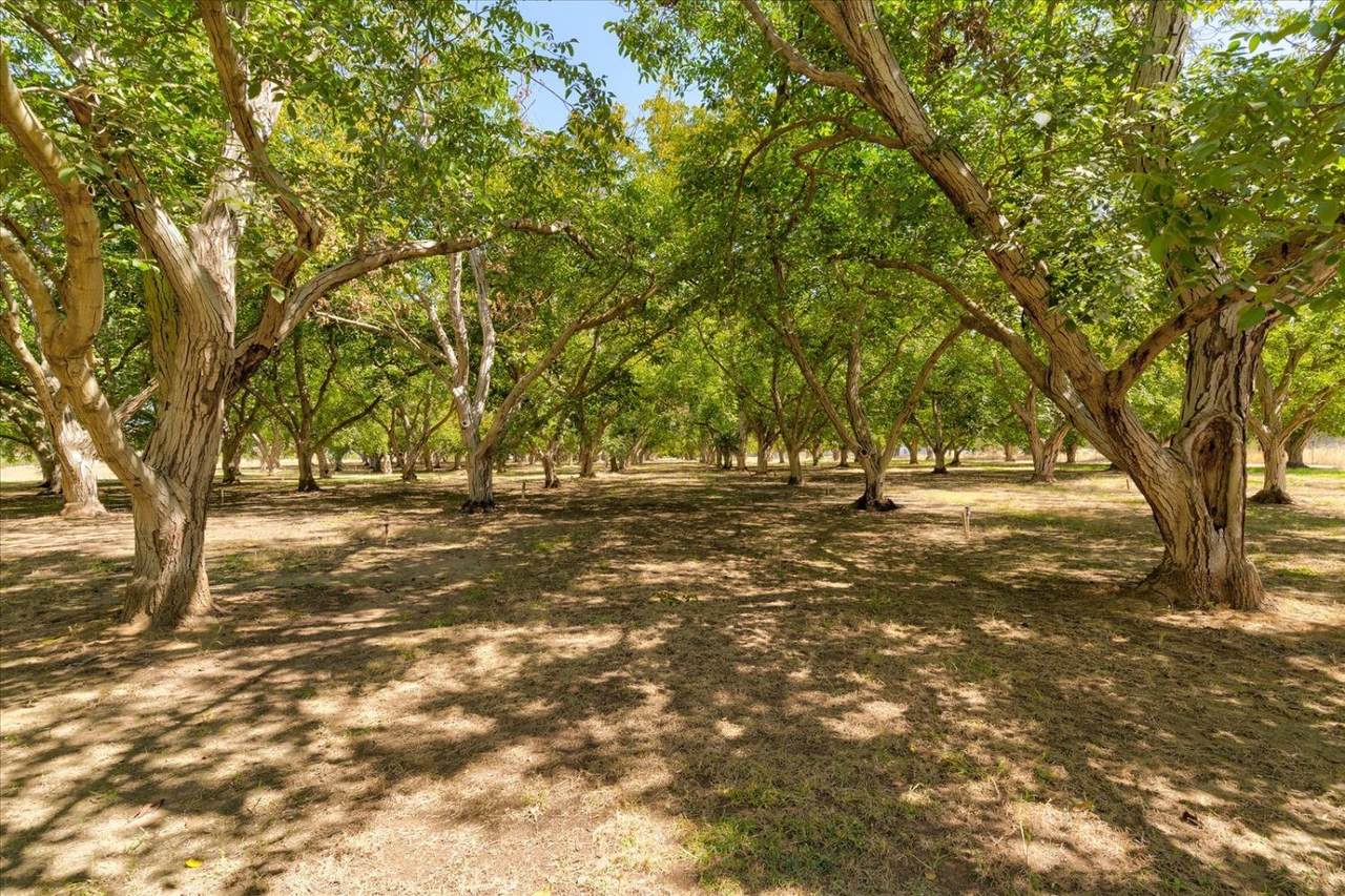 1745 Oakley - Photo 1