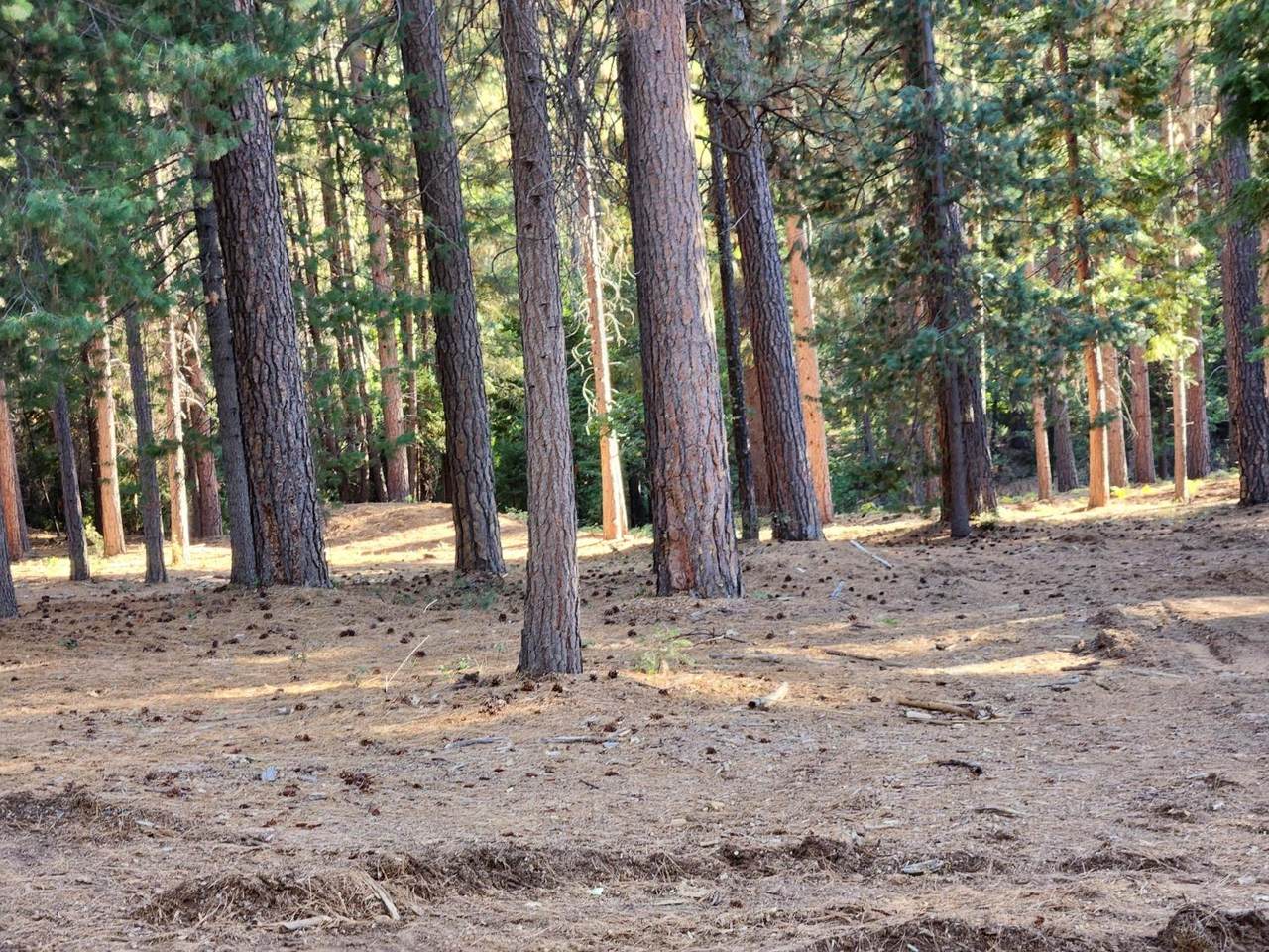 165 Secret Town Lane - Photo 1