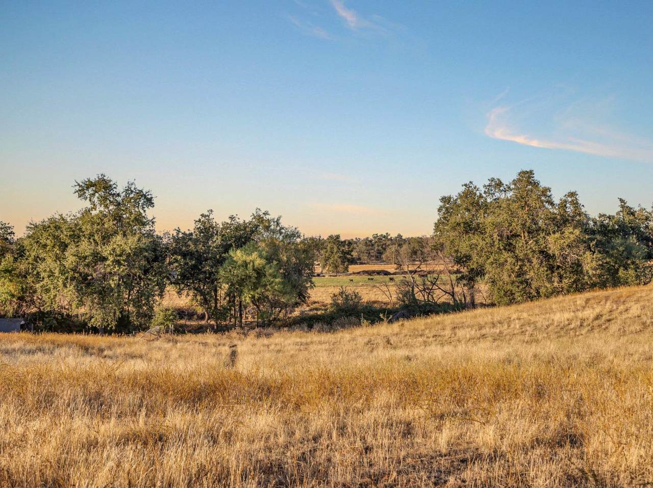 0 Mccourtney Road - Photo 1