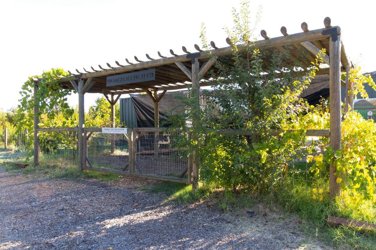 6702 Filbert Avenue - Photo 1