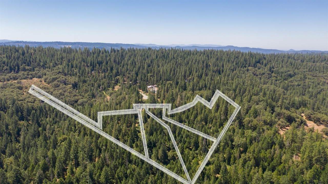 19350 Tyleranne Lane - Photo 1