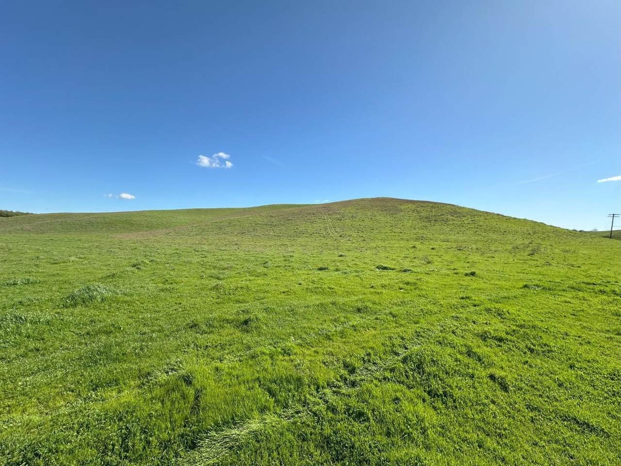 400 Crabtree Road - Photo 1