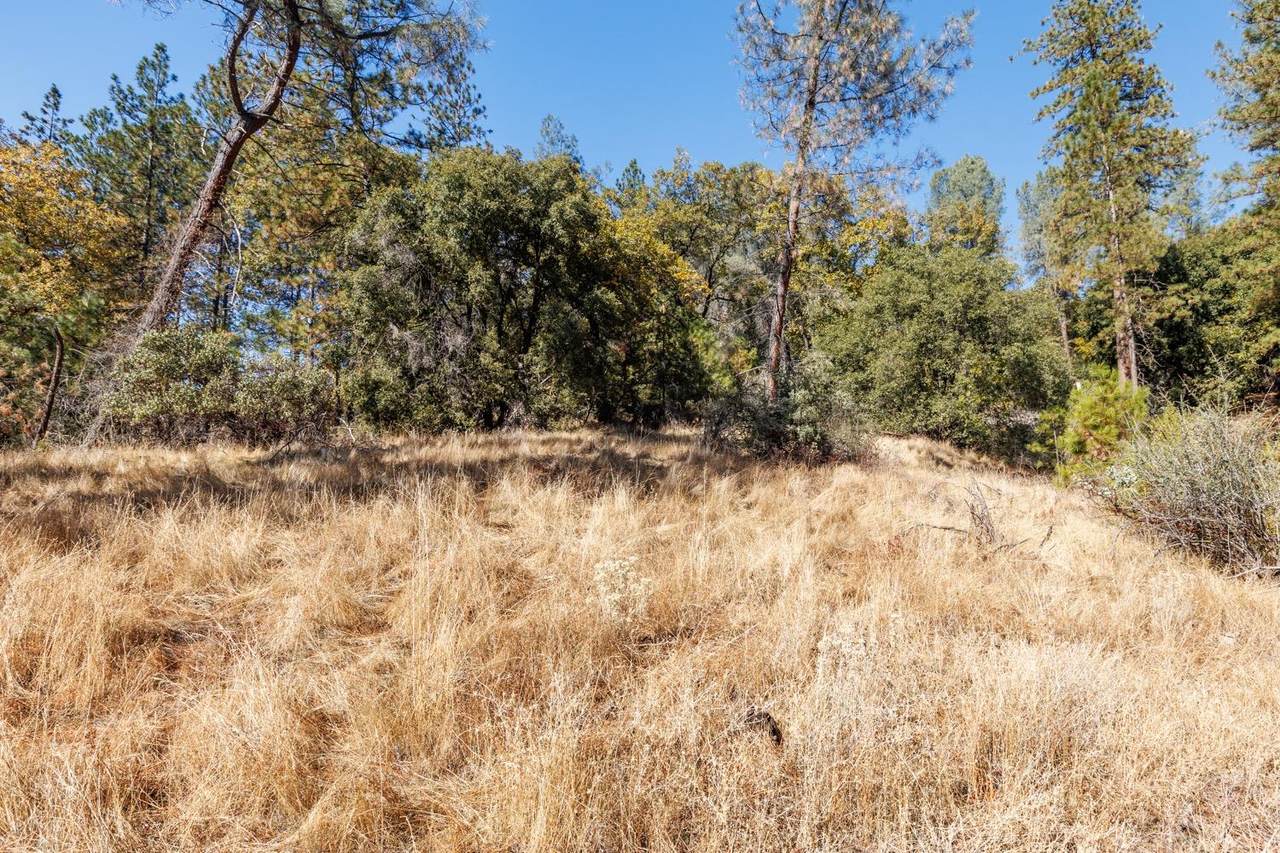 3551 Red Dog Drive - Photo 1