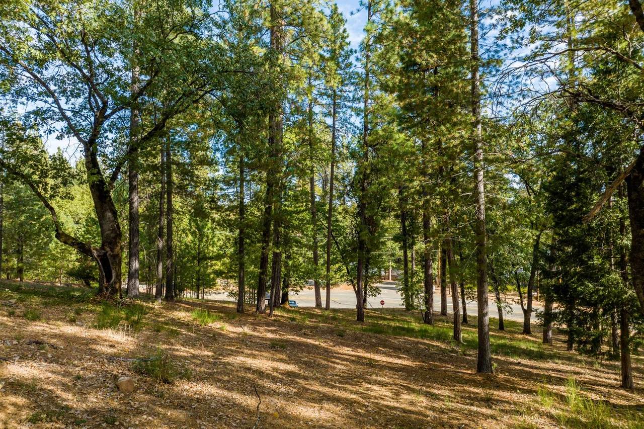 15215 Woodmont Lane - Photo 1