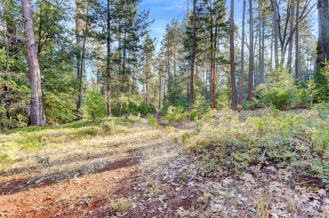 0 Cedar Ridge Drive - Photo 1