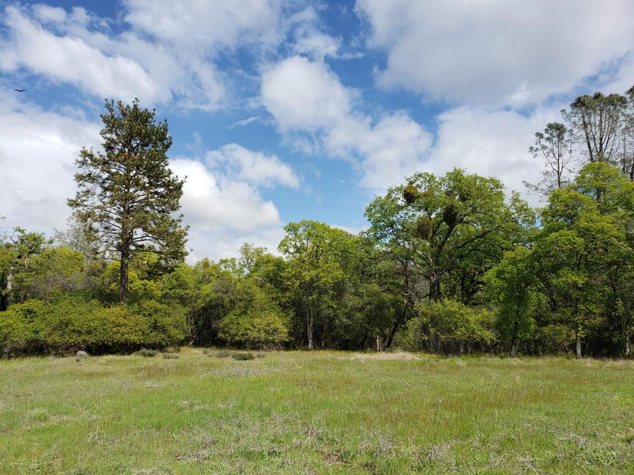 https://bt-photos.global.ssl.fastly.net/sacramento/1280_boomver_2_560803899-2.jpg