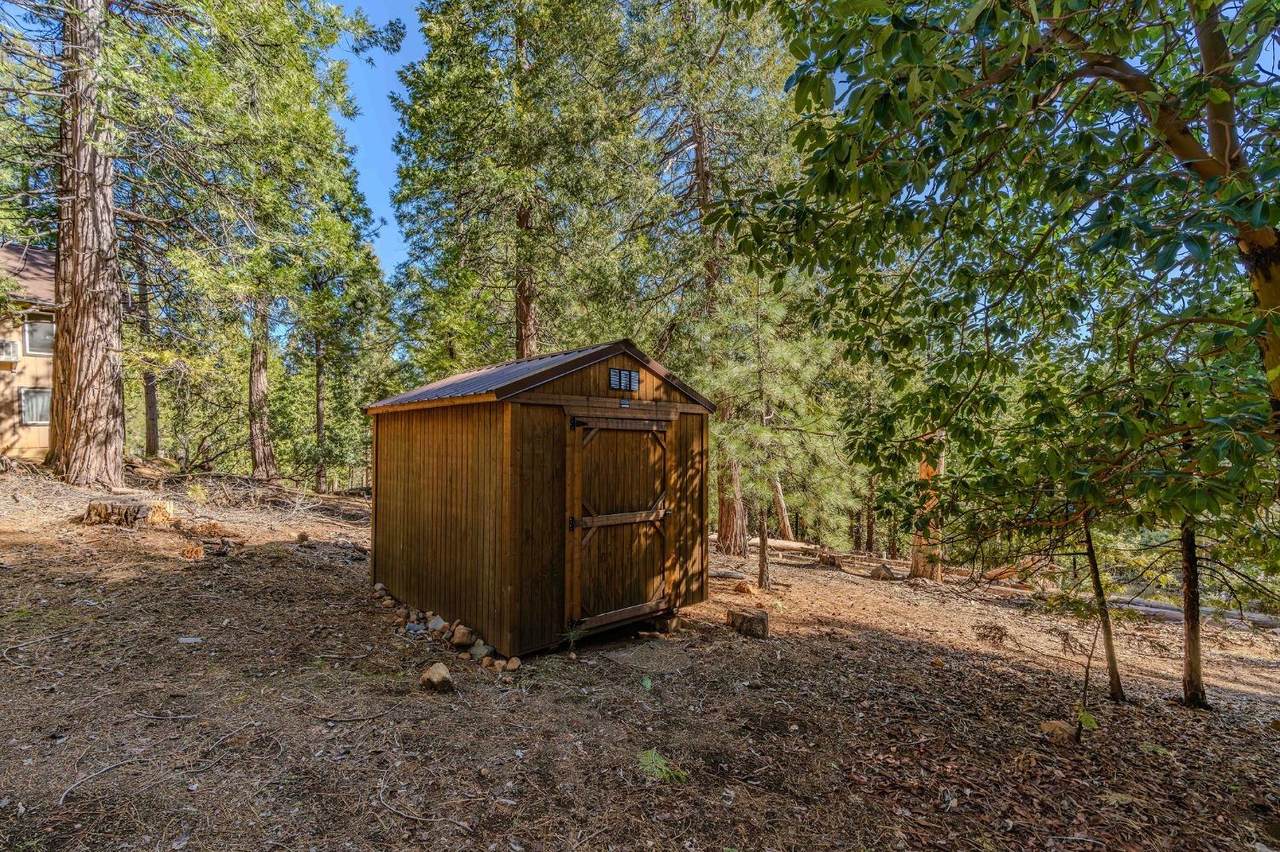 19818 Pine Drive - Photo 1