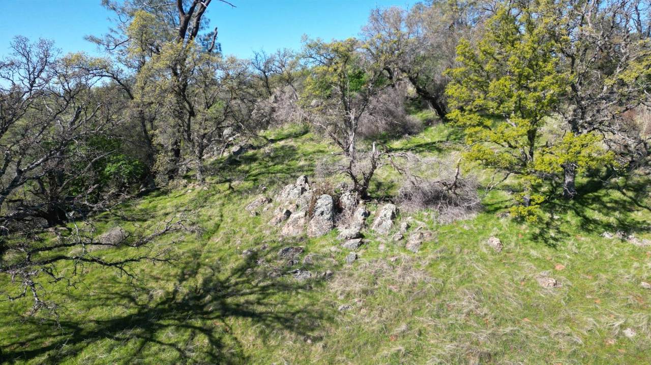 https://bt-photos.global.ssl.fastly.net/sacramento/1280_boomver_2_560814373-2.jpg
