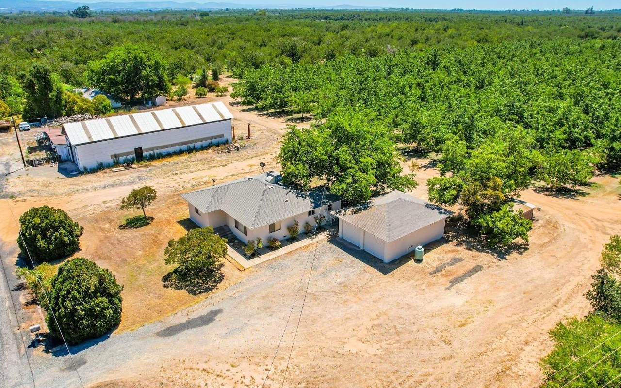 774 Lattin Road - Photo 1