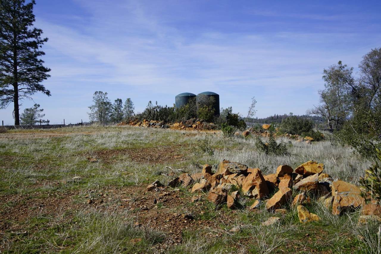 https://bt-photos.global.ssl.fastly.net/sacramento/1280_boomver_2_560820252-2.jpg