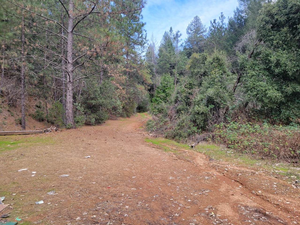 https://bt-photos.global.ssl.fastly.net/sacramento/1280_boomver_2_560824754-2.jpg