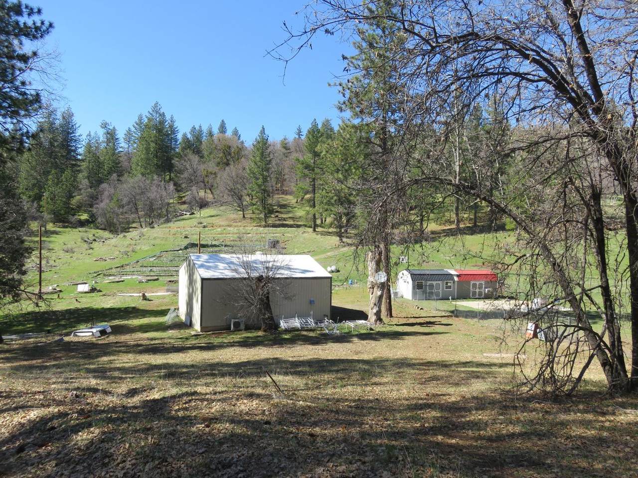 4196 Bald Mountain Road - Photo 1