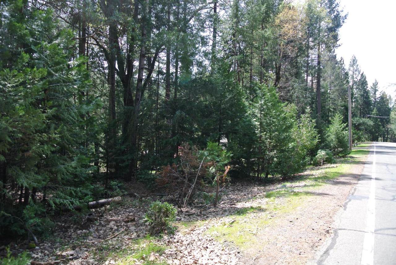 5117 Cold Springs Drive - Photo 1