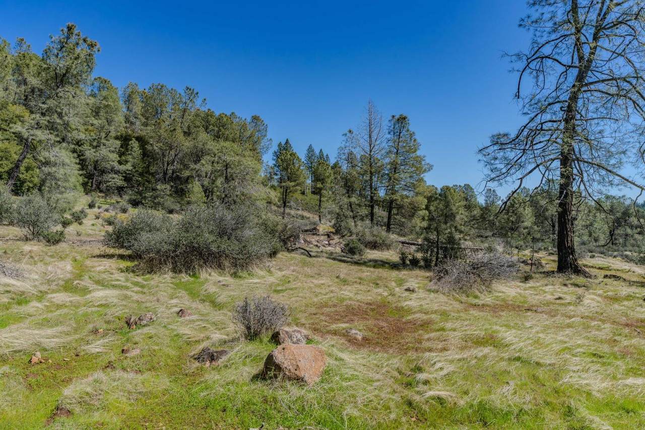 0 Carson Drive - Photo 1